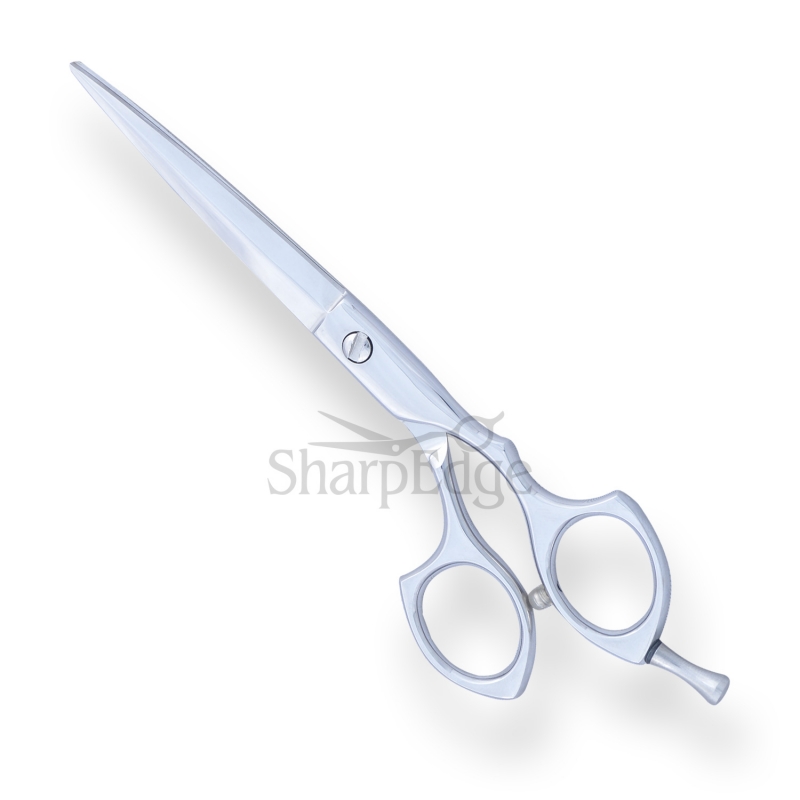 Professional Hair Dressing Scissors 